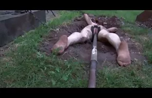 XXX Tình dục với một người bạn gái