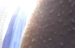 XXX Tình qua lỗ trong quần